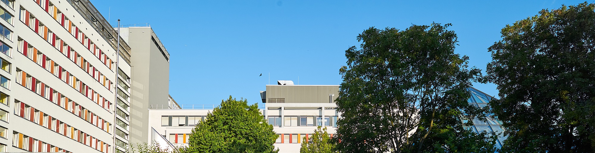 St. Catherine Hospital